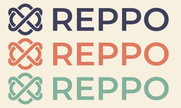 Reppo Labs Secures .2M in Funding to Revolutionize Collaboration Between Data Owners and AI Agents